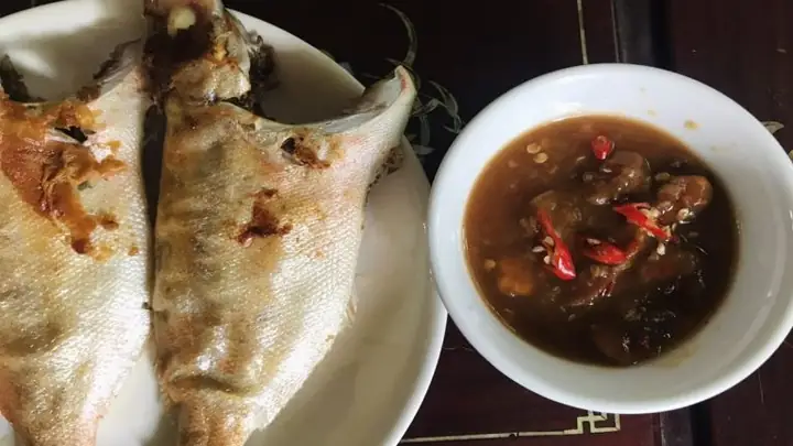 Cá Bã Trầu Ăn Gì? Hướng Dẫn Chế Độ Dinh Dưỡng Toàn Diện