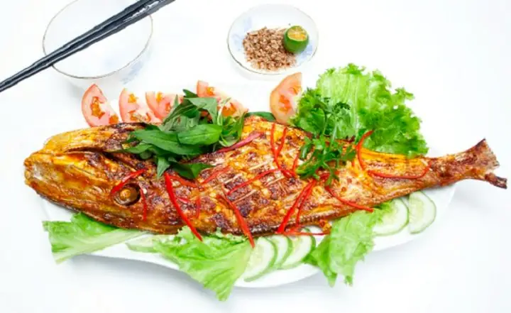 Cá Bã Trầu Ăn Gì? Hướng Dẫn Chế Độ Dinh Dưỡng Toàn Diện