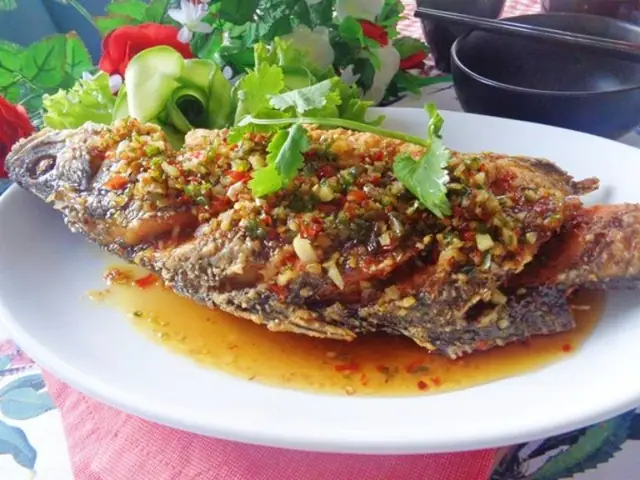 Cá Bã Trầu Ăn Gì? Hướng Dẫn Chế Độ Dinh Dưỡng Toàn Diện