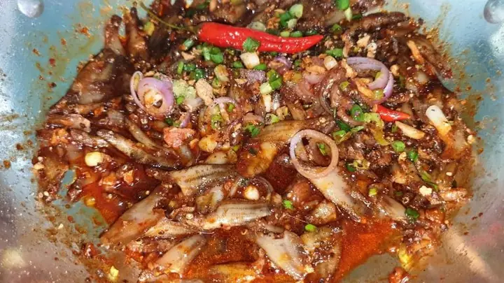 Cá Bã Trầu Ăn Gì? Hướng Dẫn Chế Độ Dinh Dưỡng Toàn Diện