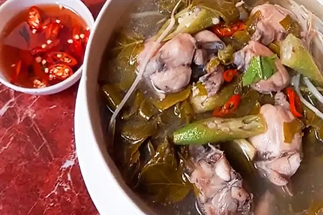 Cá bã trầu là cá gì? Đặc điểm, giá trị dinh dưỡng và cách chế biến