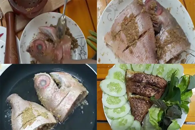 Cá bã trầu là cá gì? Đặc điểm, giá trị dinh dưỡng và cách chế biến