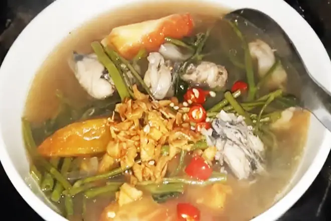 Cá bã trầu là cá gì? Đặc điểm, giá trị dinh dưỡng và cách chế biến