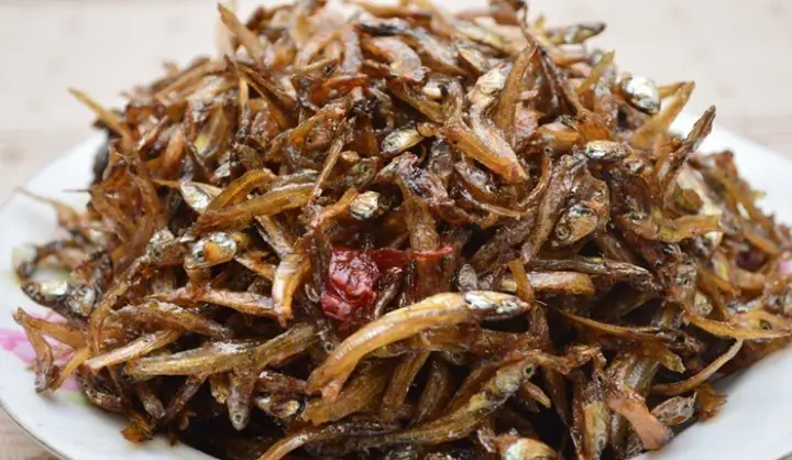 Cá Bạc Đầu Ăn Gì? Chế Độ Dinh Dưỡng Toàn Diện