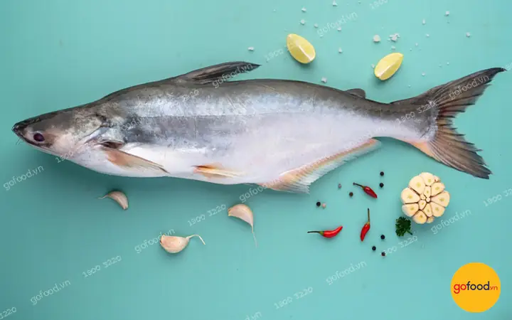 cá basa là cá nước gì