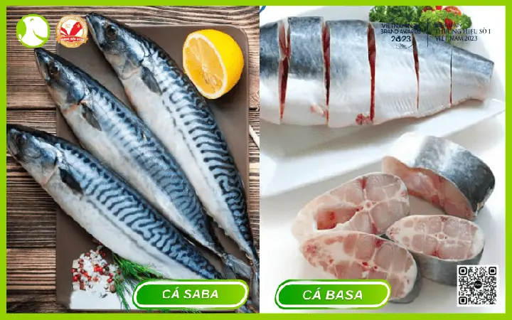 Phân Biệt Cá Basa Và Cá Saba: Chọn Lựa Thông Minh Cho Ẩm Thực