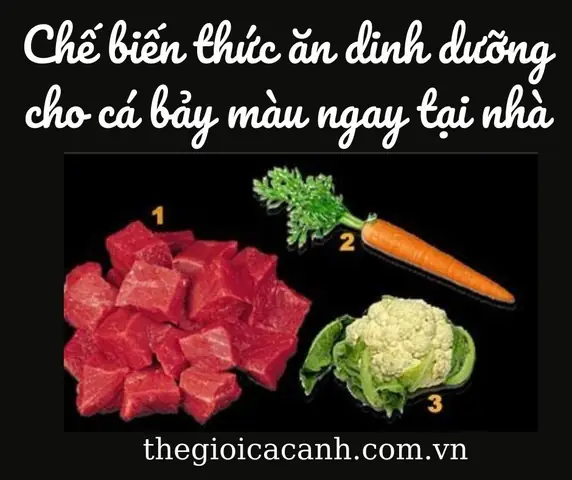 Cá bảy màu ăn cái gì để khỏe mạnh và sinh sản tốt?