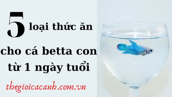 -kShPfDUlDA-_o2dNr7yYkavAdNKIRRktRMIaAGTomMYpVmTmTkCQXHFVnKzhhN8Yyynp6JsvSFoPXUW-0892v2ReL630d-2HsQFZ9oBCvS_LR9p1gPmwuHDWDl2RBhHh2pcBW9x