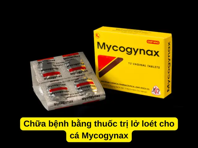 Cá Bị Lở Loét: Nguyên Nhân, Triệu Chứng Và Giải Pháp Điều Trị Toàn Diện