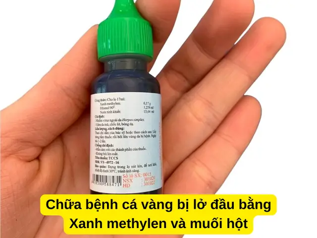Cá Bị Lở Loét: Nguyên Nhân, Triệu Chứng Và Giải Pháp Điều Trị Toàn Diện