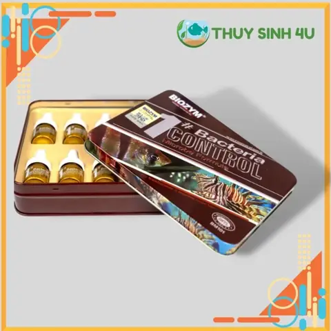cá bị nấm trắng