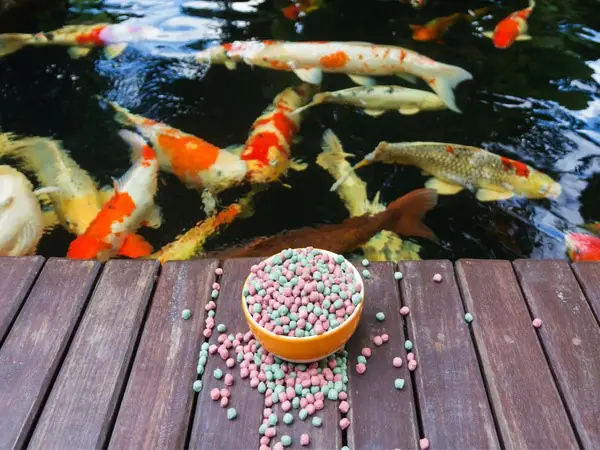 Điều chỉnh chế độ ăn uống