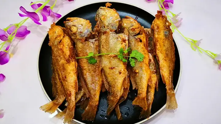 Cá biển loài đại diện: Những cái tên nổi bật và đặc trưng