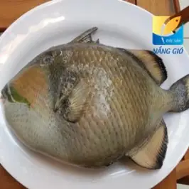 CÁ BÒ DA GIÁP