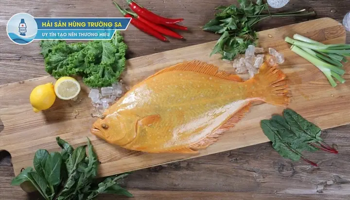 Cá Bơn Nhật Bản: Đặc Điểm, Môi Trường Sống Và Giá Trị Dinh Dưỡng Toàn Diện