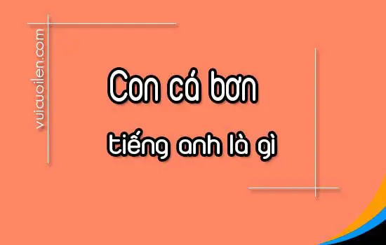 Cá Bơn Tiếng Anh Là Gì? Từ Vựng Và Đặc Điểm Chi Tiết Nhất