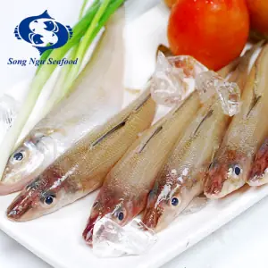 Cá Bống Đục Biển: Đặc Điểm, Giá Trị Dinh Dưỡng Và Món Ngon