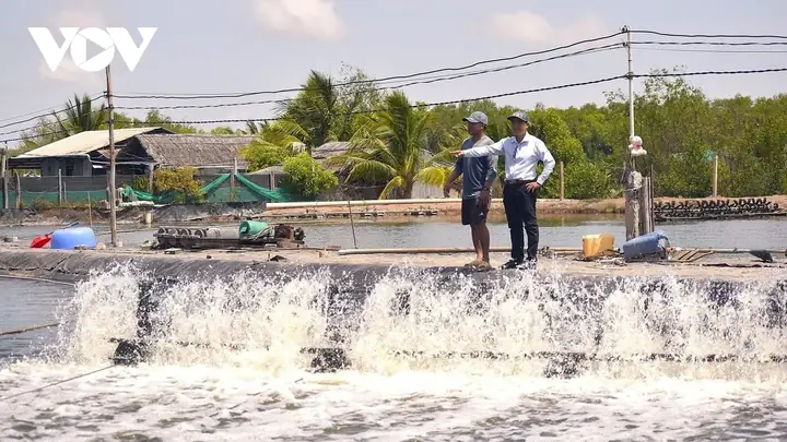 Hướng Dẫn Kỹ Thuật Nuôi Cá Bông Lau Thương Phẩm Đạt Năng Suất Cao Nhất