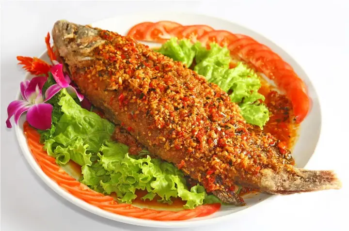 Cá Bống Mú và Cá Mú: Hướng Dẫn Phân Biệt Chi Tiết & Giá Trị Dinh Dưỡng