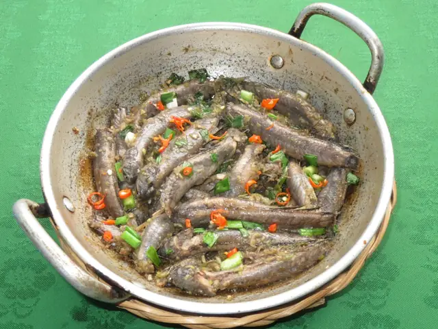 Cá Bống Sao Ăn Gì Để Lớn Nhanh Và Khỏe Mạnh?