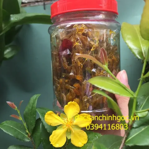 cá bống sông trà