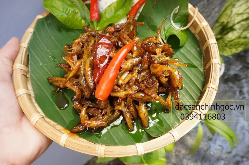 cá bống sông trà cá bống sông trà