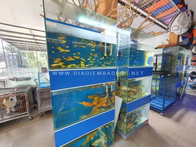RIO Petshop RIO Petshop