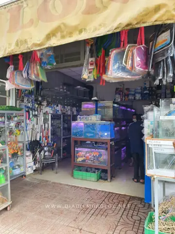 Cửa Hàng Cá Cảnh Hạ Long Cửa Hàng Cá Cảnh Hạ Long