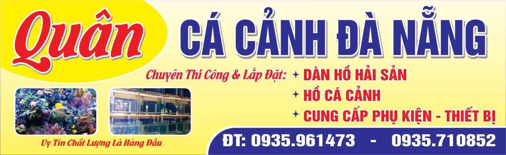 Cá cảnh biển Quân chuyên cung cấp cá cảnh biển, san hô, hải quỳ