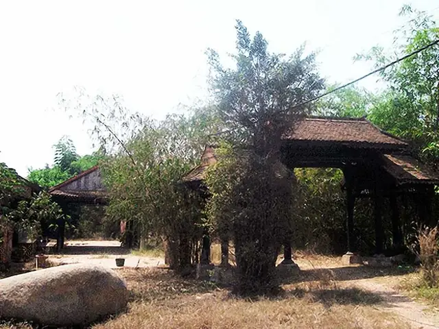 cá cảnh củ chi