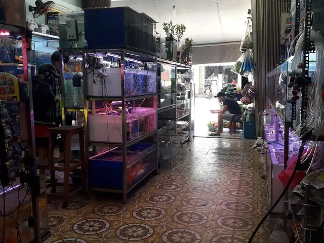 cá cảnh đà nẵng
