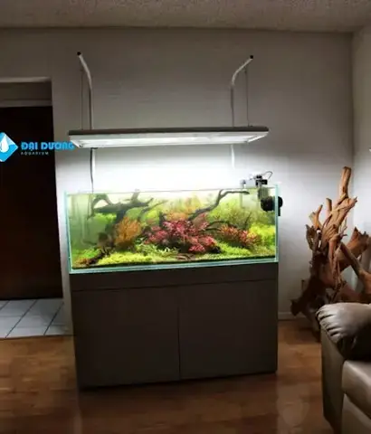 Chăm Sóc và Bảo Dưỡng Hồ Cá Cảnh Đại Dương