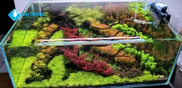 Các Vấn Đề Thường Gặp và Cách Khắc Phục