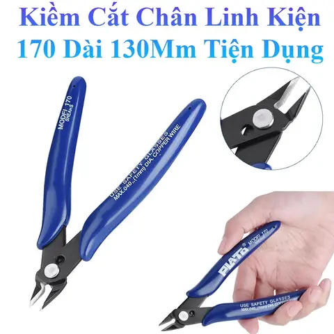 Cá Cảnh Dễ Thương: Khám Phá Loài Nào Phù Hợp Cho Bể Của Bạn