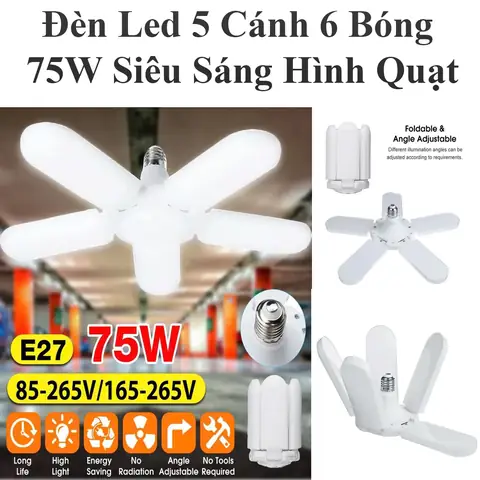 Cá Cảnh Dễ Thương: Khám Phá Loài Nào Phù Hợp Cho Bể Của Bạn