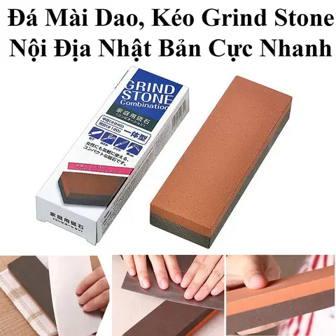 Cá Cảnh Dễ Thương: Khám Phá Loài Nào Phù Hợp Cho Bể Của Bạn