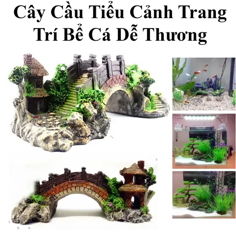 Cá Cảnh Dễ Thương: Khám Phá Loài Nào Phù Hợp Cho Bể Của Bạn
