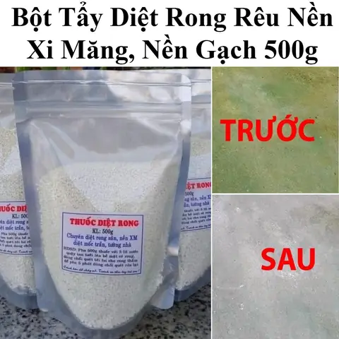 Cá Cảnh Dễ Thương: Khám Phá Loài Nào Phù Hợp Cho Bể Của Bạn