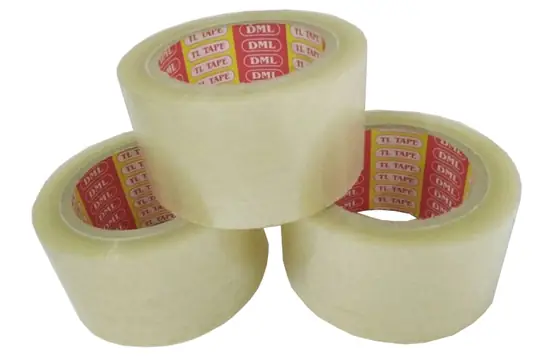 Cá Cảnh Dễ Thương: Khám Phá Loài Nào Phù Hợp Cho Bể Của Bạn