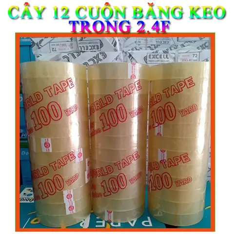 Cá Cảnh Dễ Thương: Khám Phá Loài Nào Phù Hợp Cho Bể Của Bạn