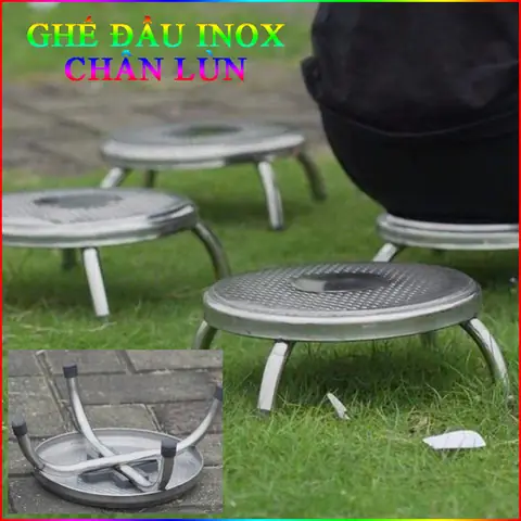 Cá Cảnh Dễ Thương: Khám Phá Loài Nào Phù Hợp Cho Bể Của Bạn