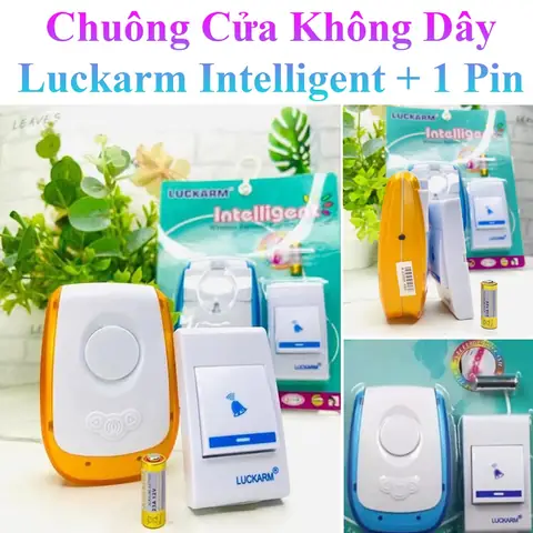 Cá Cảnh Dễ Thương: Khám Phá Loài Nào Phù Hợp Cho Bể Của Bạn