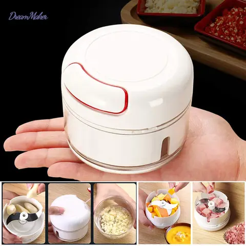 Cá Cảnh Dễ Thương: Khám Phá Loài Nào Phù Hợp Cho Bể Của Bạn