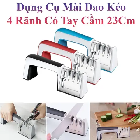 Cá Cảnh Dễ Thương: Khám Phá Loài Nào Phù Hợp Cho Bể Của Bạn