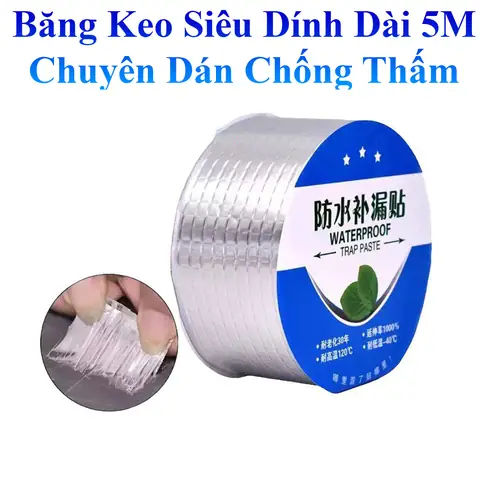 Cá Cảnh Dễ Thương: Khám Phá Loài Nào Phù Hợp Cho Bể Của Bạn