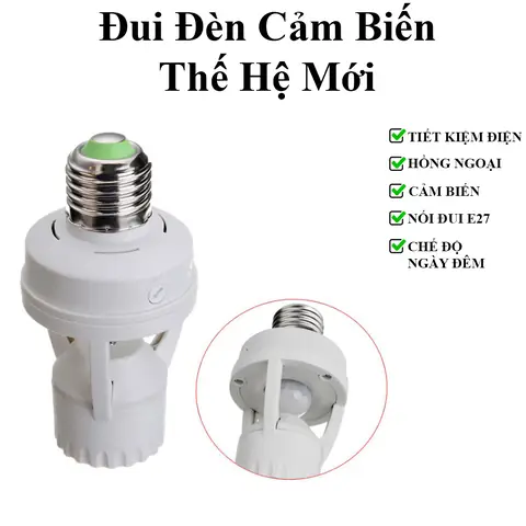 Cá Cảnh Dễ Thương: Khám Phá Loài Nào Phù Hợp Cho Bể Của Bạn