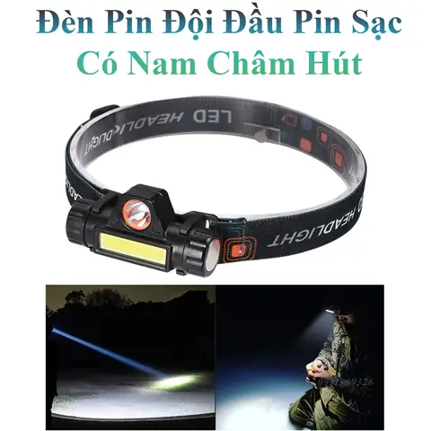 Cá Cảnh Dễ Thương: Khám Phá Loài Nào Phù Hợp Cho Bể Của Bạn
