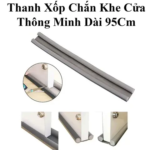Cá Cảnh Dễ Thương: Khám Phá Loài Nào Phù Hợp Cho Bể Của Bạn
