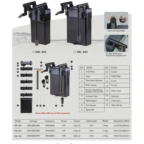 cá cảnh giá rẻ