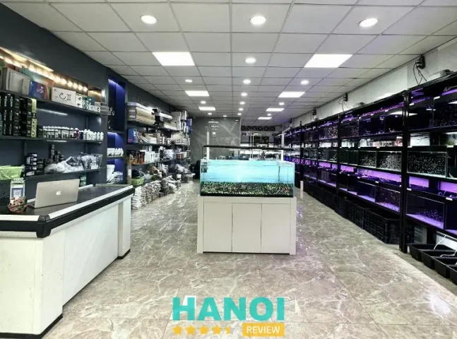 cá cảnh hà nội
